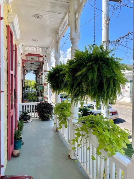 Historic Victorian Studio Near City Park Noma Bayou St John Nueva Orleans Exterior foto